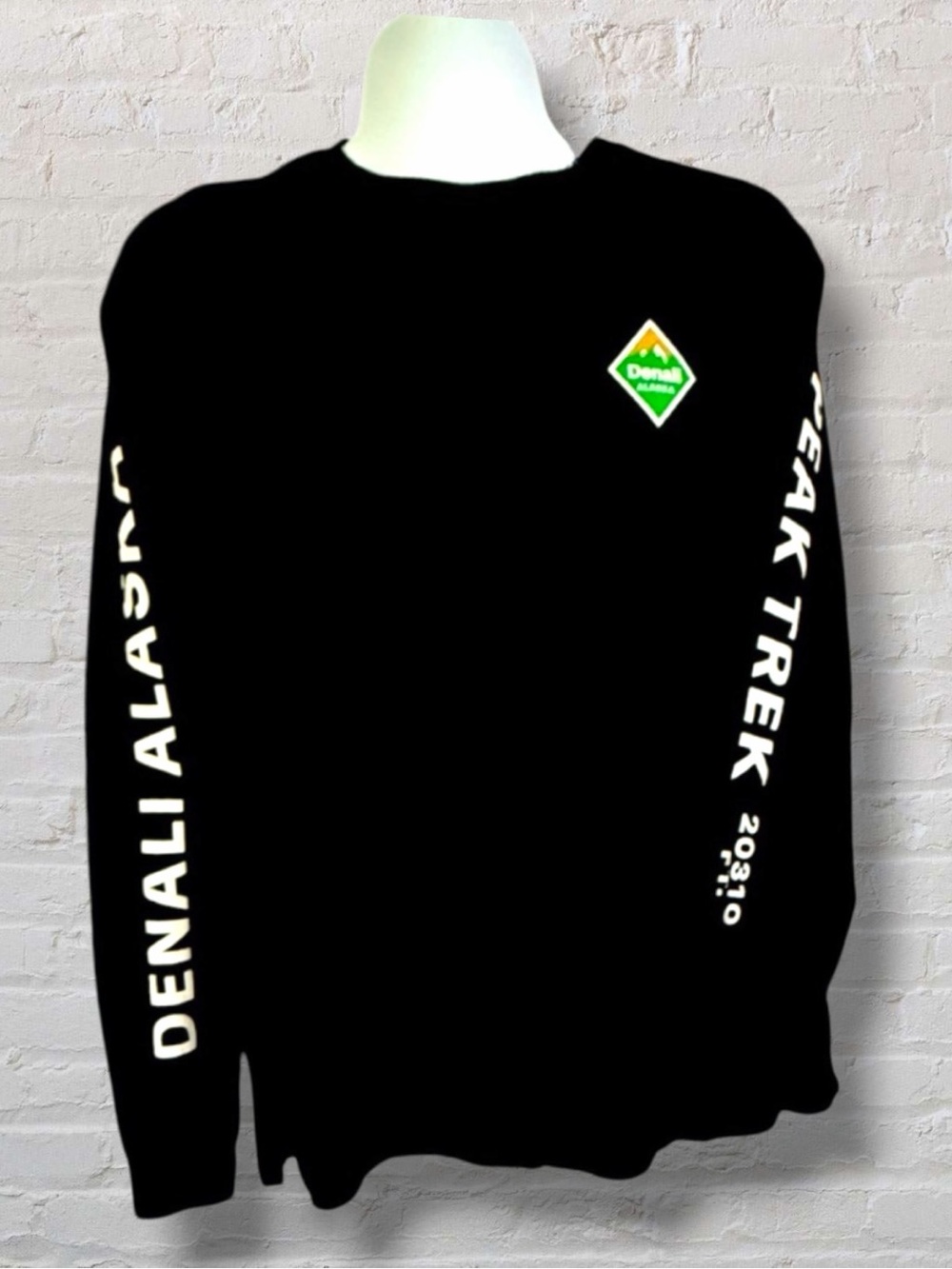 H&M - Long Sleeve Tee with Denali Alaska Peak Graphics. Size: Large